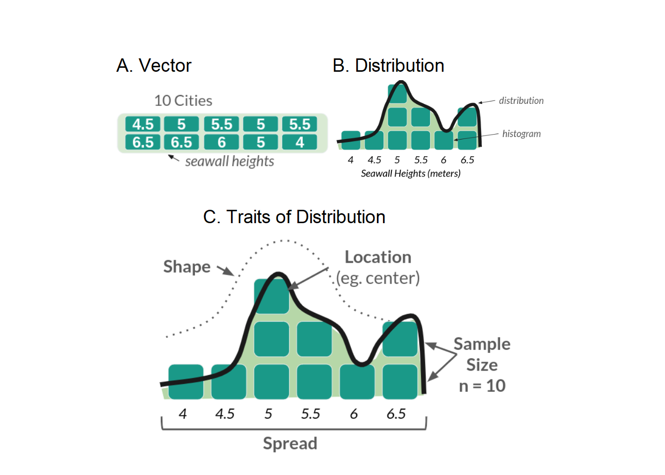 Figure 2: Seawall Vector as a Distribution