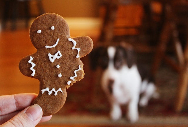 A poorly predicted Gingerbread Cookie
Photo by Noelle Otto