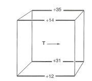 Cube of the four temperature comparisons: +35, +14, +31 and +12 along the T direction